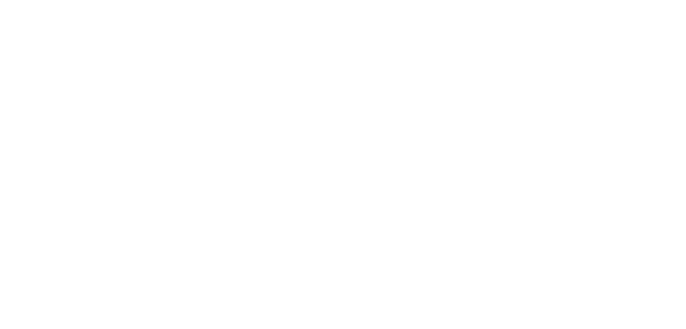 Zifo logo